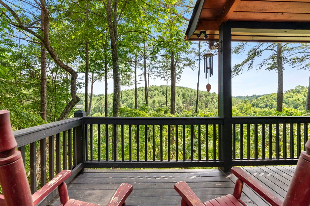 175 Woodhaven Road Blue Ridge, GA 30513 - Photo 43 of 53