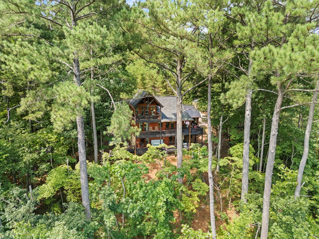 175 Woodhaven Road Blue Ridge, GA 30513 - Photo 47 of 53
