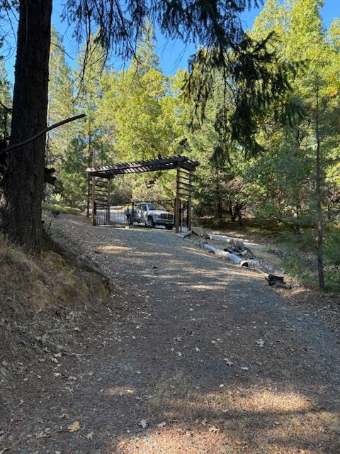 0 Fiddletown Road Volcano, CA 95689 - Photo 6 of 13 a view of a yard with a tree
