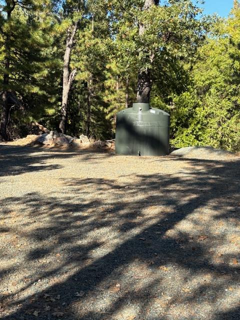 0 Fiddletown Road Volcano, CA 95689 - Photo 9 of 13 a view of a garden