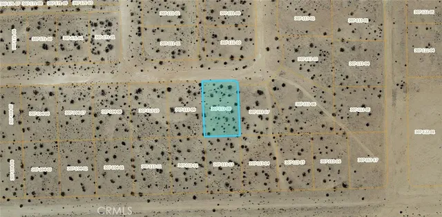 a bathroom with a shower curtain and a sink