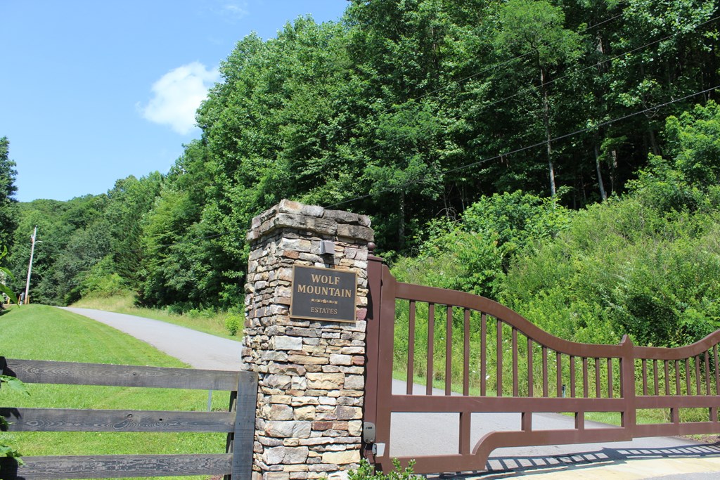 0 Wolf Mountain Road Murphy, NC 28906 - Photo 3 of 9