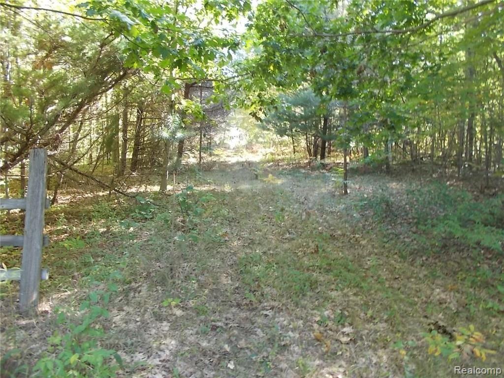 0 Mushroom Road Deford, MI 48729 - Photo 8 of 8