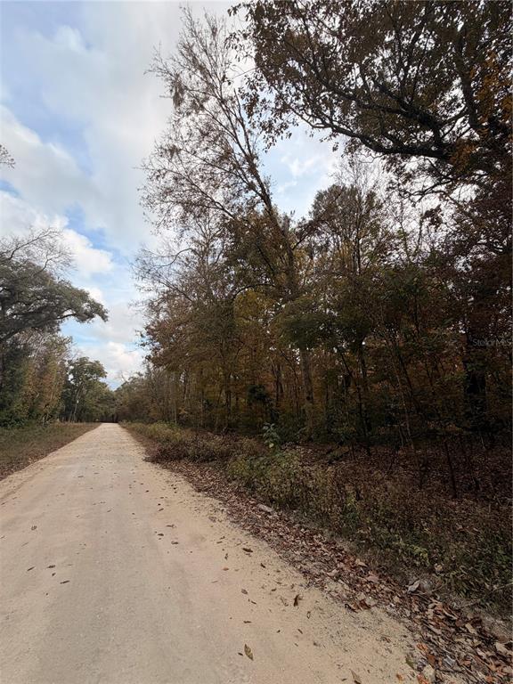 11 284th Terrace Branford, FL 32008 - Photo 11 of 18 a view of a backyard of a house