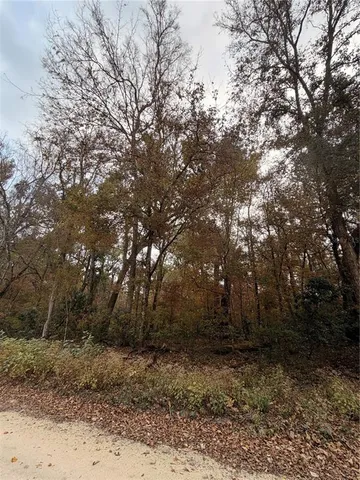 a view of backyard with green space
