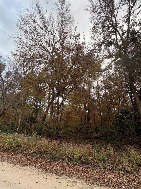 11 284th Terrace Branford, FL 32008 - Photo 13 of 18 a backyard of a house