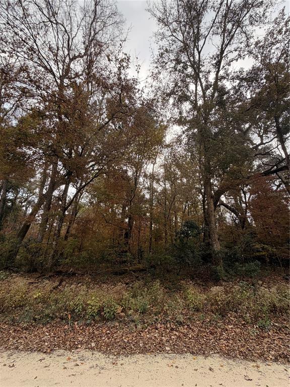 11 284th Terrace Branford, FL 32008 - Photo 14 of 18 a view of backyard with green space