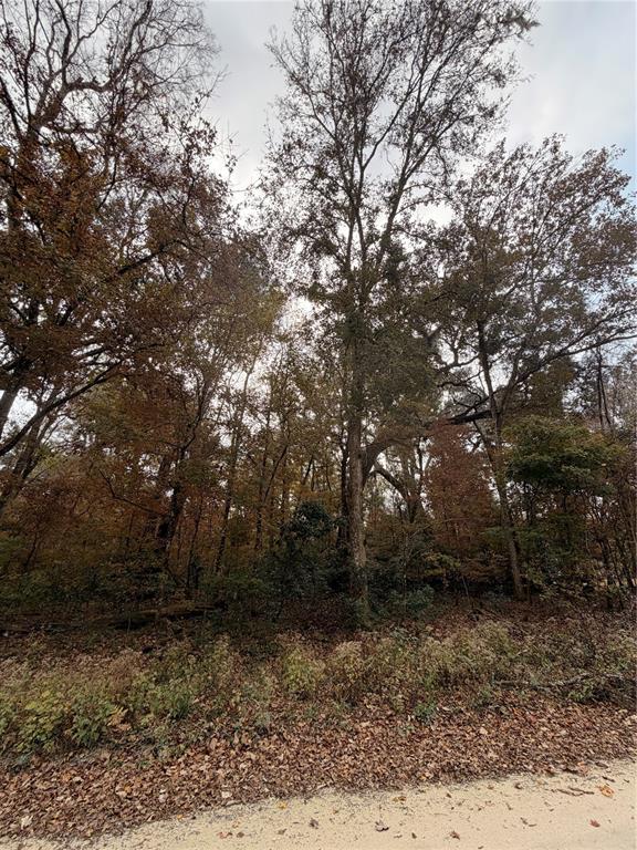 11 284th Terrace Branford, FL 32008 - Photo 15 of 18 a view of outdoor space with trees