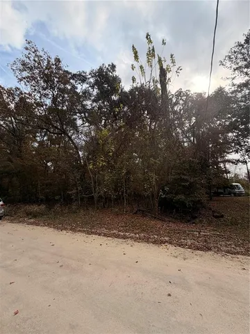 a view of a yard with trees