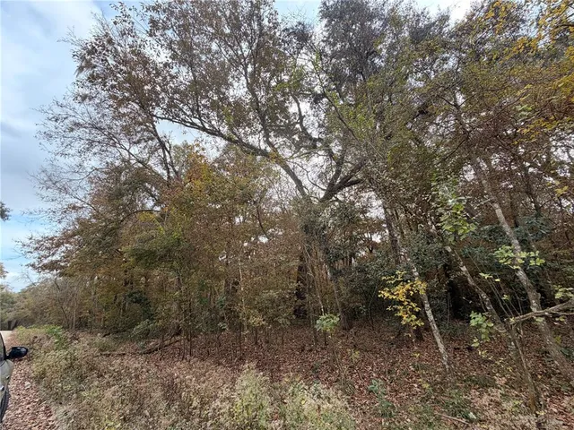 a view of a covered with trees in the background
