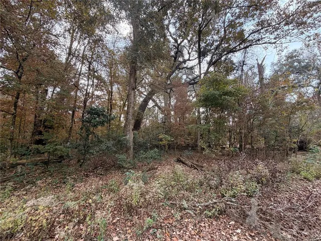 a view of a dry yard with trees