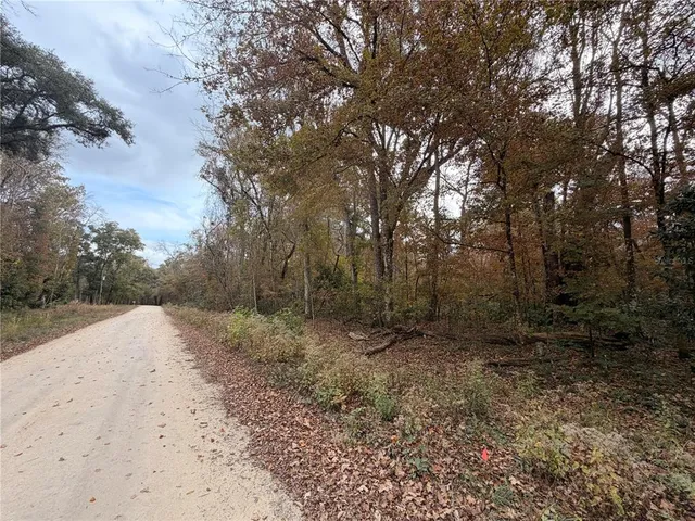 a view of a yard with plants and trees