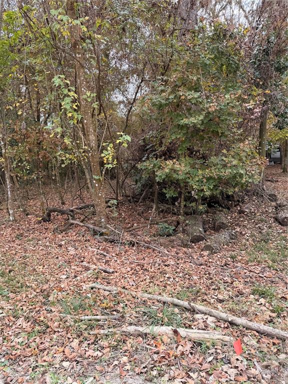 11 284th Terrace Branford, FL 32008 - Photo 10 of 18 a view of a yard with plants and trees