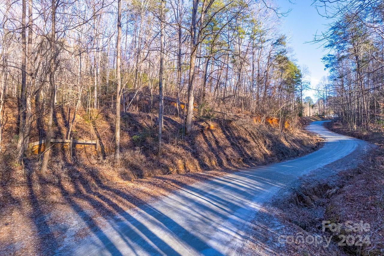0 Capps Road Tryon, NC 28782 - Photo 1 of 21 a view of yard from a room