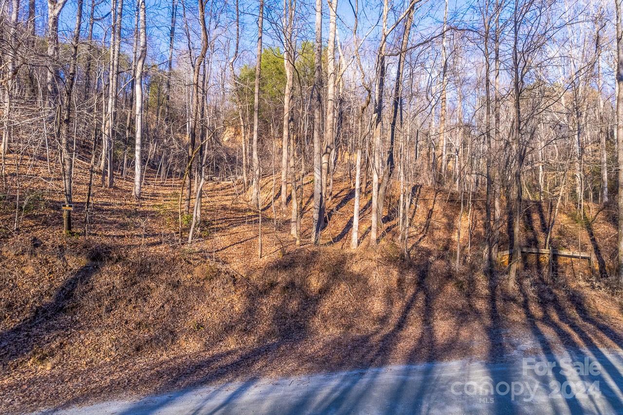 0 Capps Road Tryon, NC 28782 - Photo 11 of 21 a view of forest