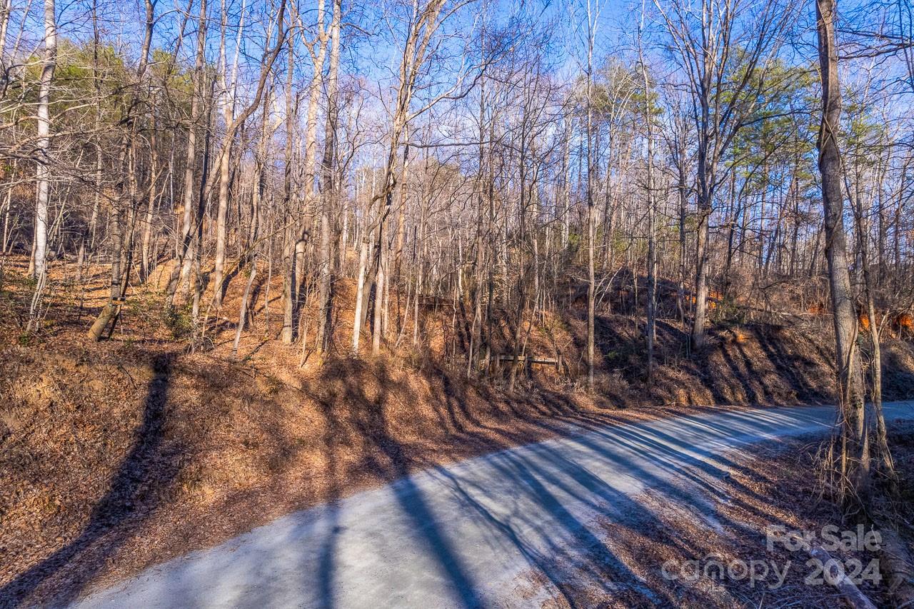 0 Capps Road Tryon, NC 28782 - Photo 12 of 21 a view of a yard