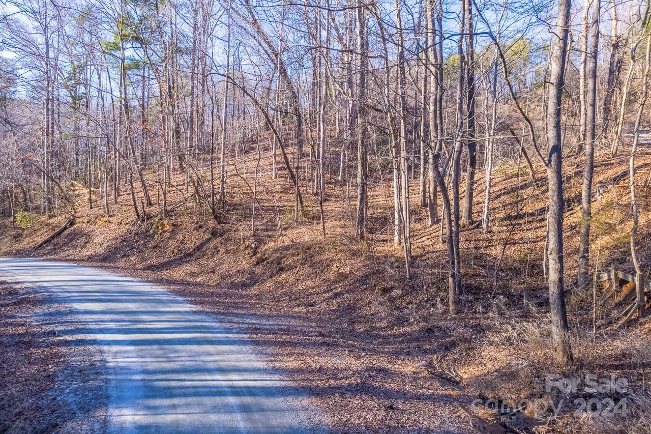 0 Capps Road Tryon, NC 28782 - Photo 13 of 21 a view of a backyard of the house