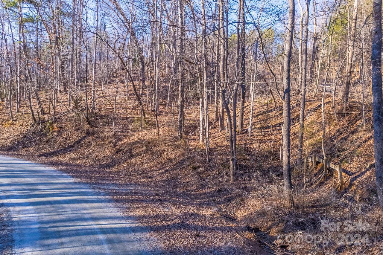 0 Capps Road Tryon, NC 28782 - Photo 14 of 21 a view of a yard with wooden floor and large trees