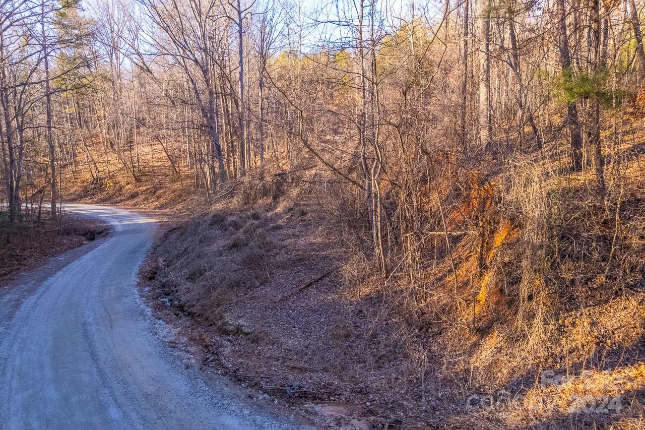 0 Capps Road Tryon, NC 28782 - Photo 16 of 21