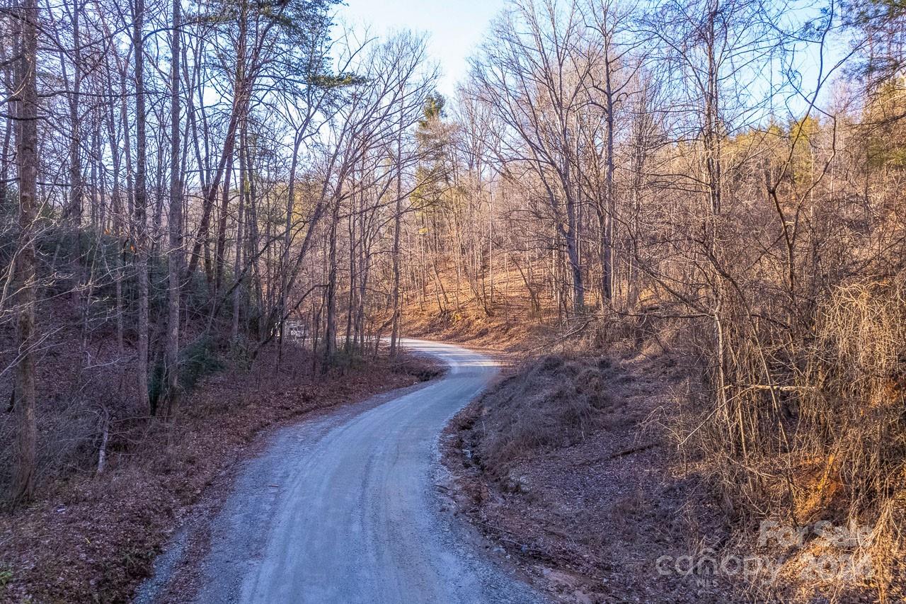 0 Capps Road Tryon, NC 28782 - Photo 17 of 21 a view of a forest filled with trees