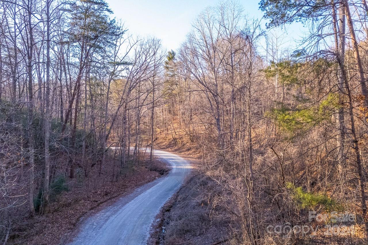 0 Capps Road Tryon, NC 28782 - Photo 18 of 21 a backyard of a house with lots of green space