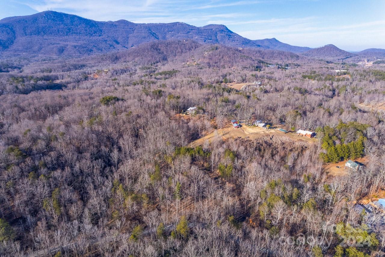 0 Capps Road Tryon, NC 28782 - Photo 20 of 21 a view of a lush green hillside and a houses