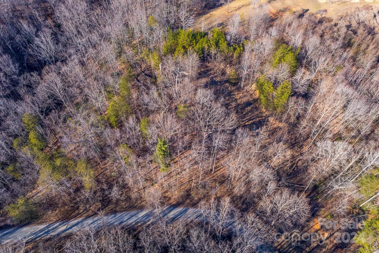 0 Capps Road Tryon, NC 28782 - Photo 4 of 21