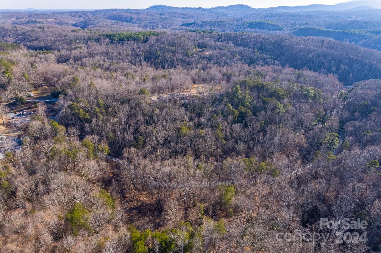 0 Capps Road Tryon, NC 28782 - Photo 9 of 21 a view of a dry field