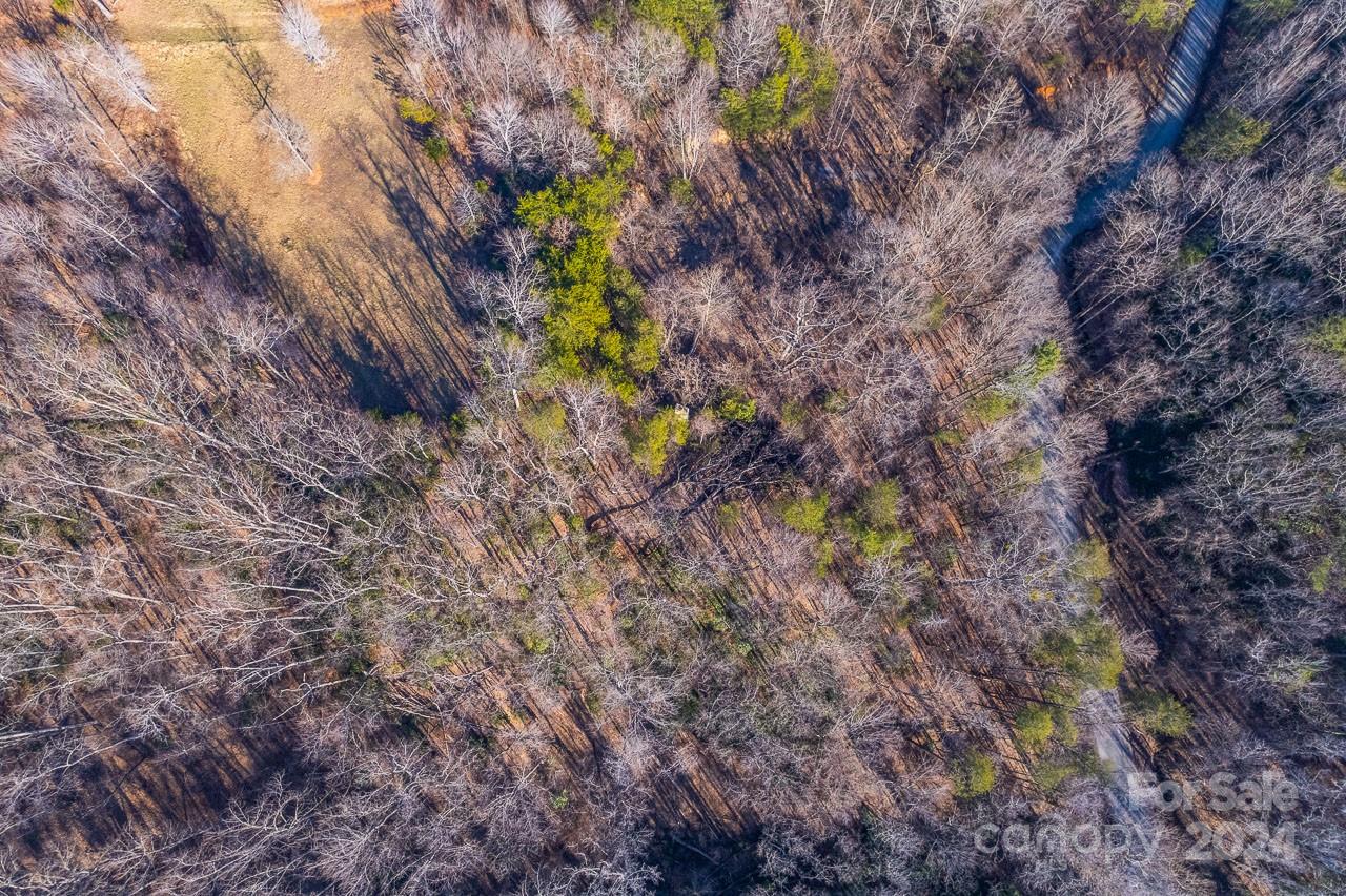 0 Capps Road Tryon, NC 28782 - Photo 10 of 21