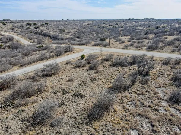a view of a dry yard