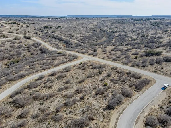 a view of a dry yard