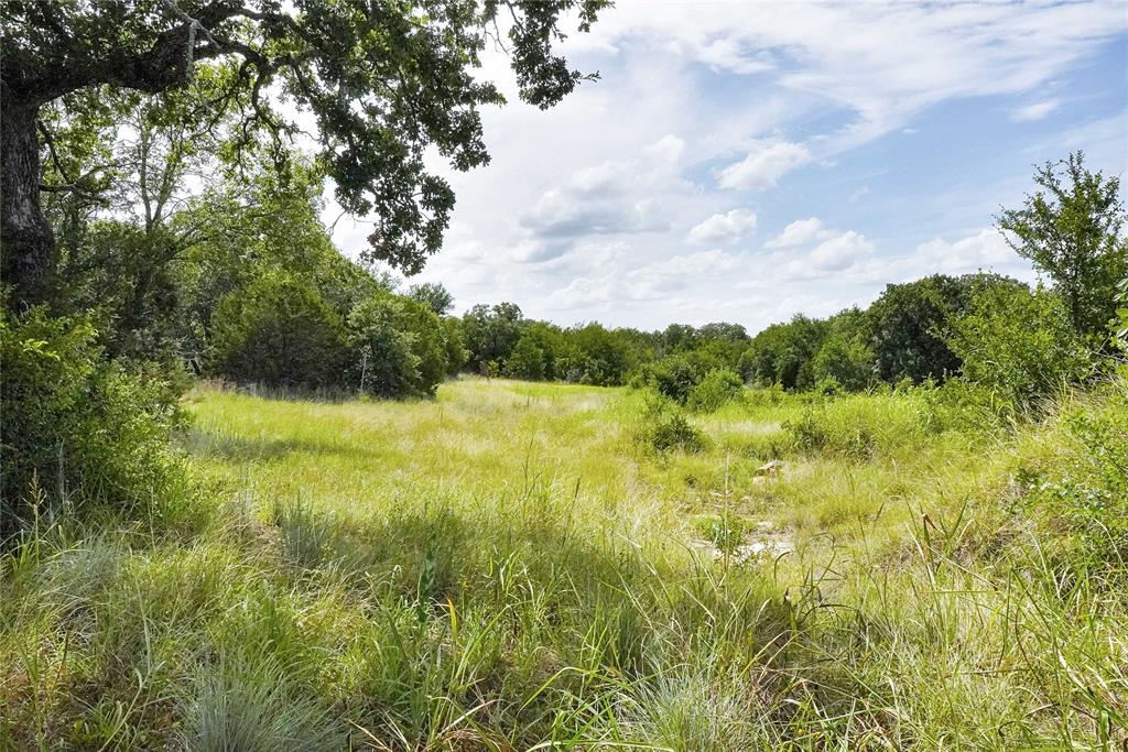 157-acres Nash Road Jacksboro, TX 76458 - Photo 26 of 40 Gallery Image 26