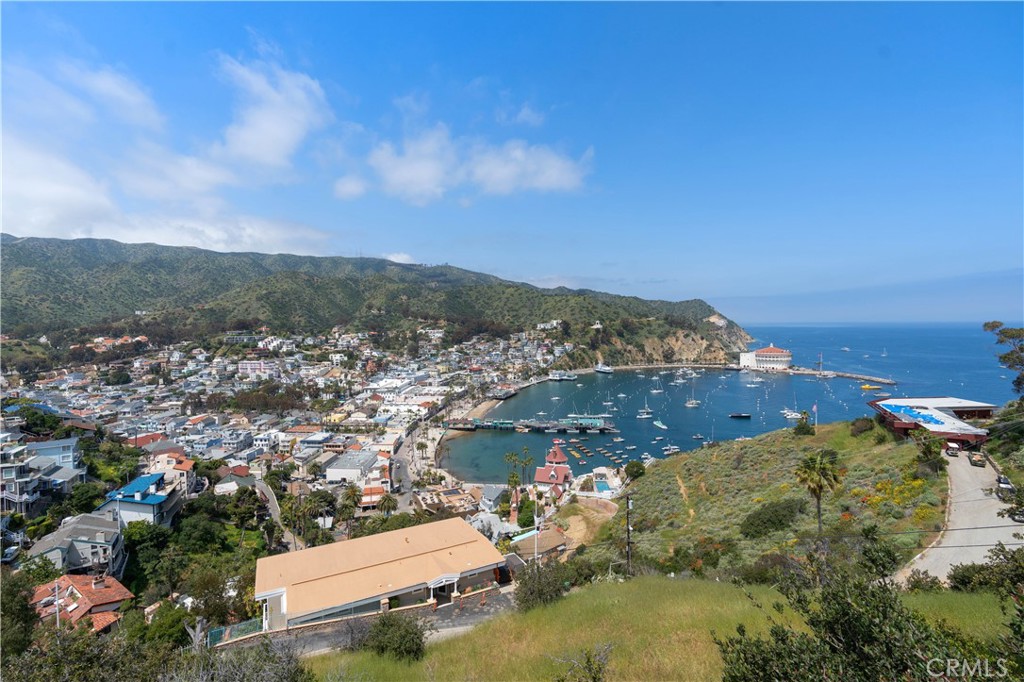 343 Eucalyptus Avenue Avalon, CA 90704 - Photo 24 of 35 an aerial view of a houses with a yard