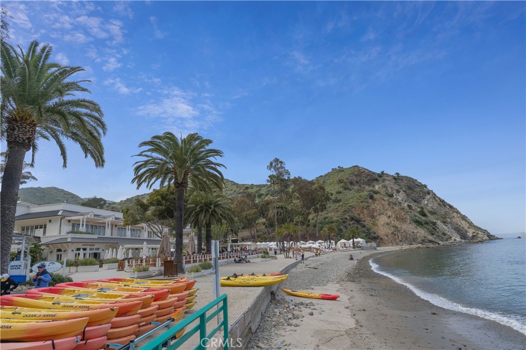 343 Eucalyptus Avenue Avalon, CA 90704 - Photo 25 of 35 a view of swimming pool with outdoor seating and plants