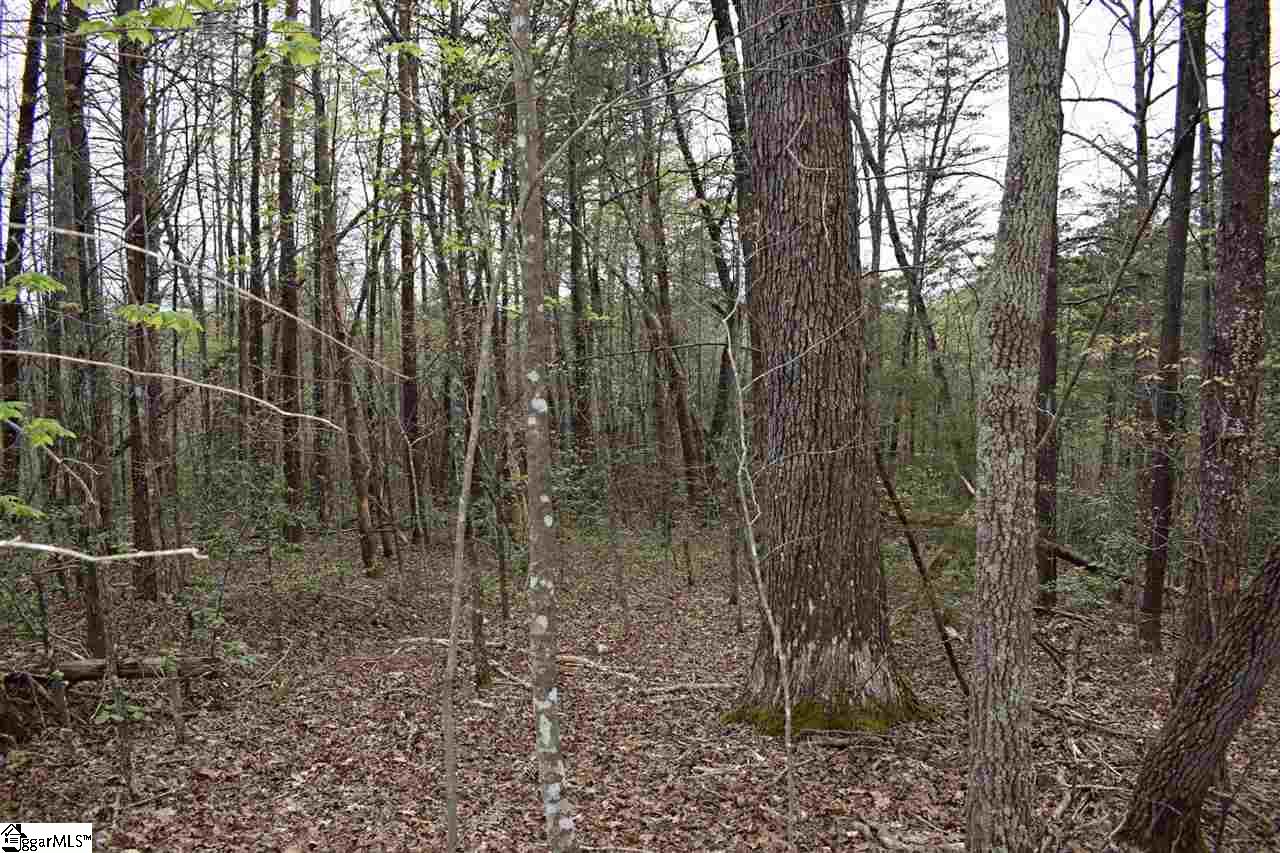 Bayberry Drive Rutherfordton, NC 28139 - Photo 12 of 20 Gallery Image 12