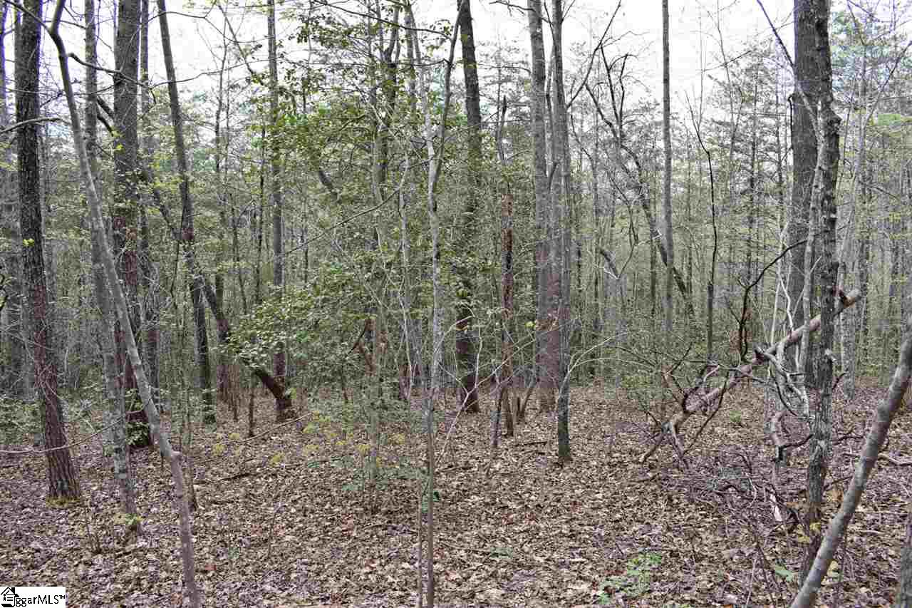 Bayberry Drive Rutherfordton, NC 28139 - Photo 13 of 20 Gallery Image 13