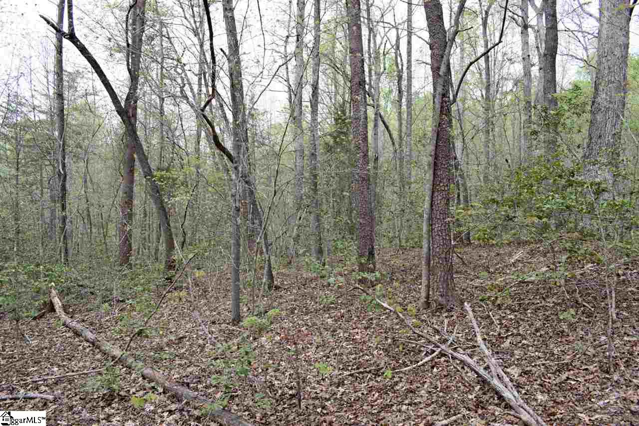 Bayberry Drive Rutherfordton, NC 28139 - Photo 14 of 20 Gallery Image 14
