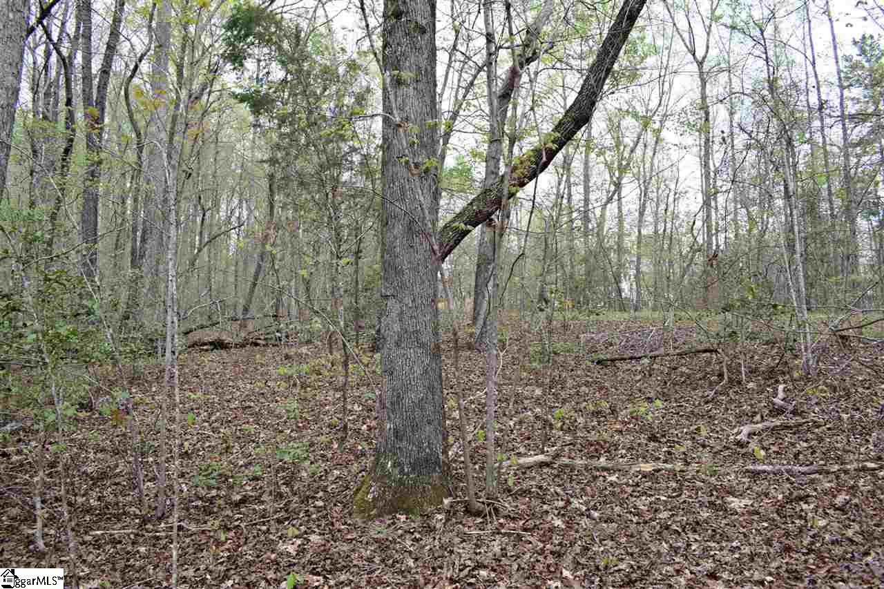 Bayberry Drive Rutherfordton, NC 28139 - Photo 15 of 20 Gallery Image 15