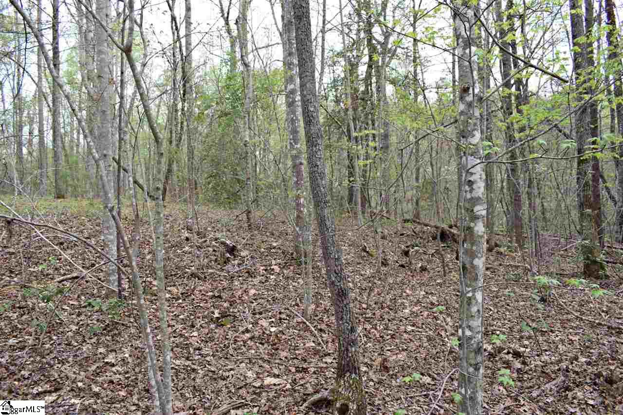 Bayberry Drive Rutherfordton, NC 28139 - Photo 16 of 20 Gallery Image 16