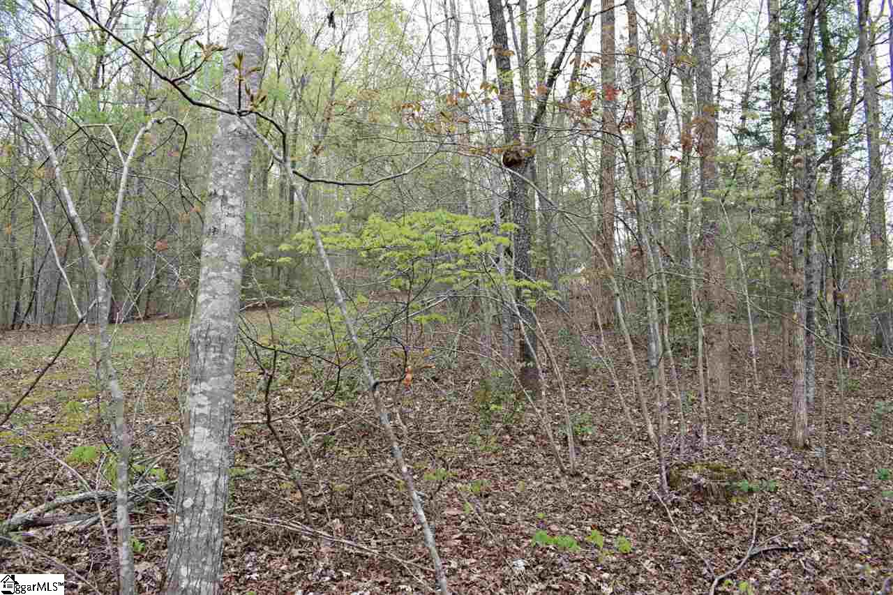Bayberry Drive Rutherfordton, NC 28139 - Photo 18 of 20 Gallery Image 18