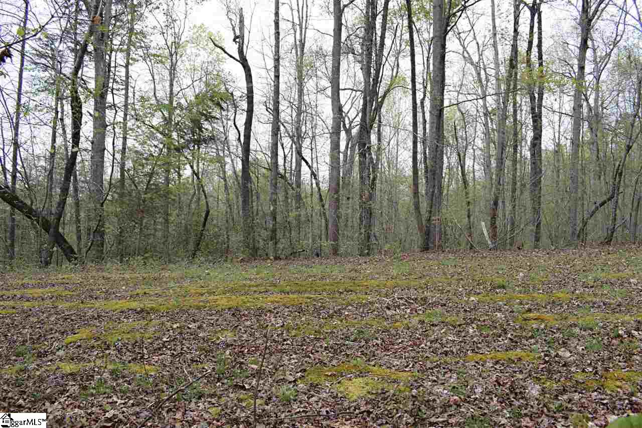 Bayberry Drive Rutherfordton, NC 28139 - Photo 19 of 20 Gallery Image 19