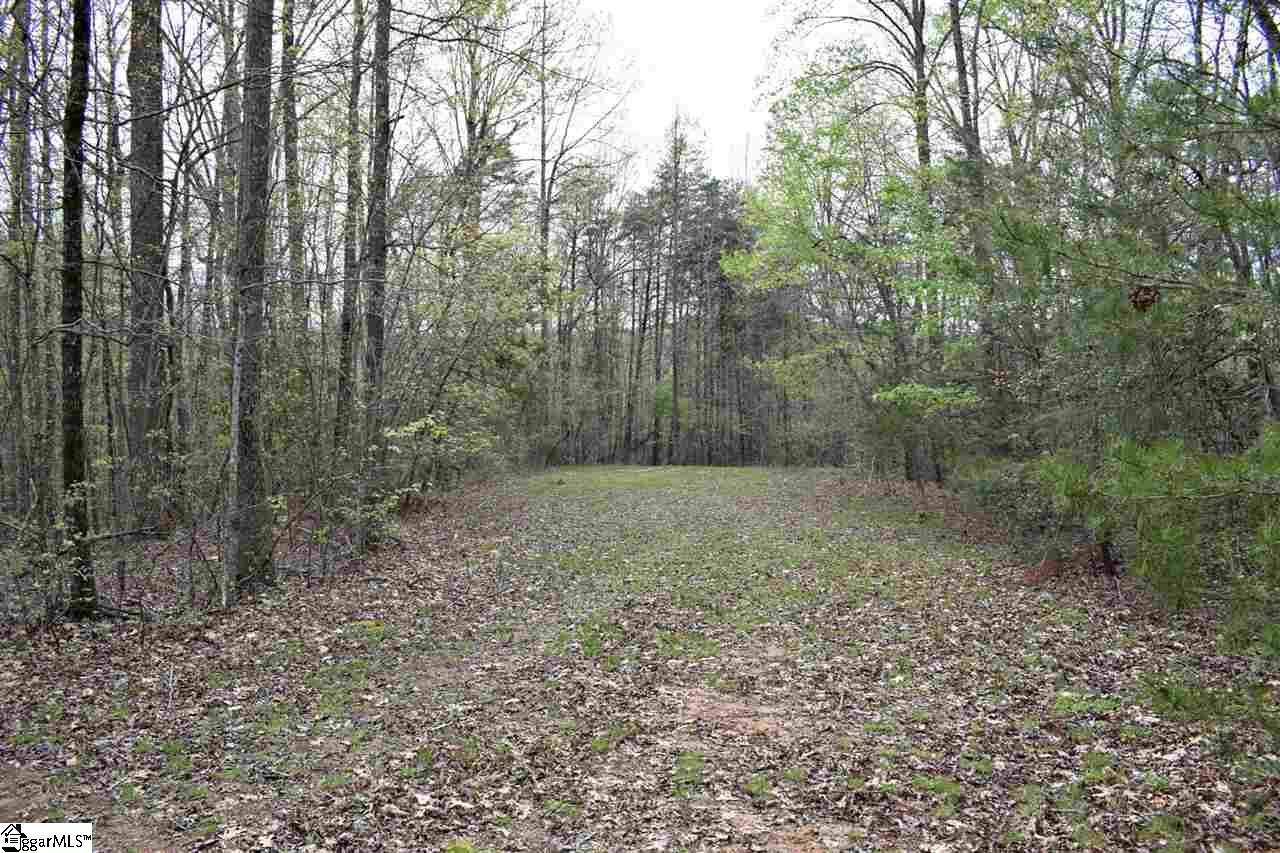 Bayberry Drive Rutherfordton, NC 28139 - Photo 6 of 20 Gallery Image 6