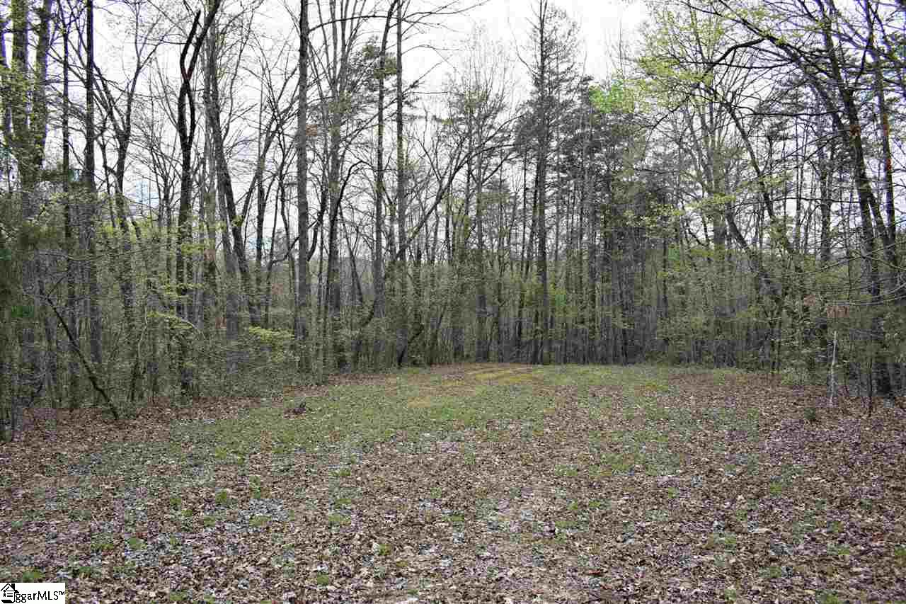 Bayberry Drive Rutherfordton, NC 28139 - Photo 7 of 20 Gallery Image 7