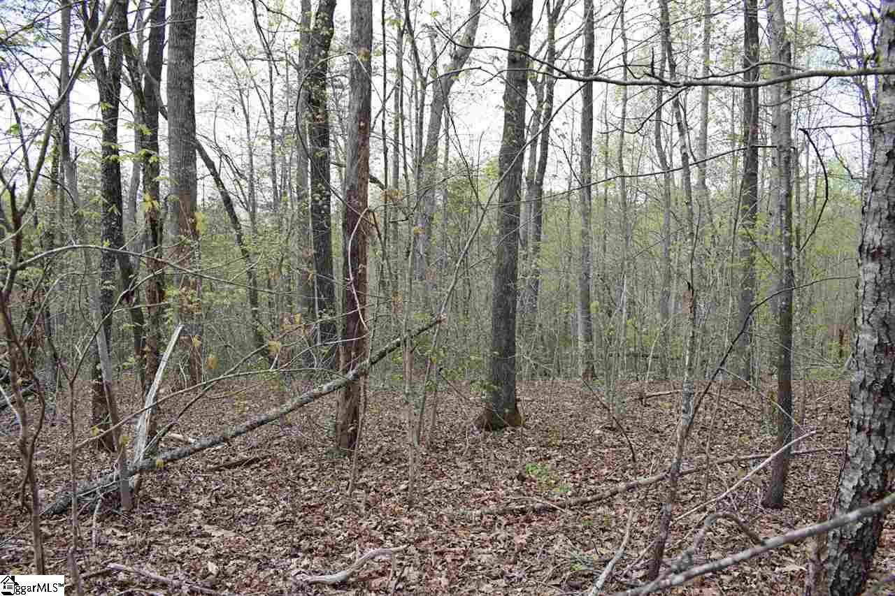 Bayberry Drive Rutherfordton, NC 28139 - Photo 8 of 20 Gallery Image 8