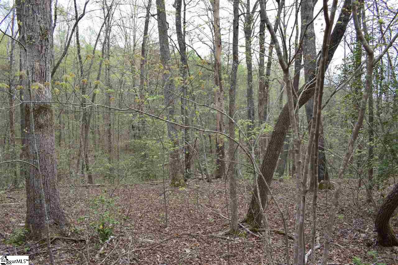 Bayberry Drive Rutherfordton, NC 28139 - Photo 9 of 20 Gallery Image 9