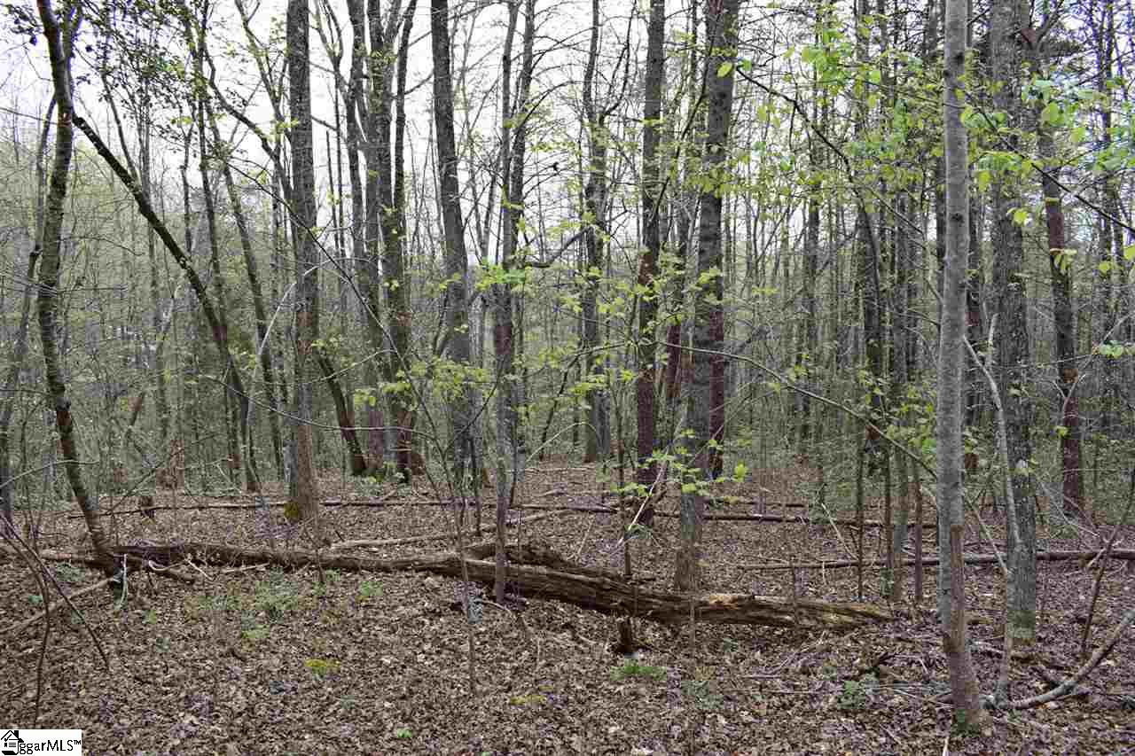 Bayberry Drive Rutherfordton, NC 28139 - Photo 10 of 20 Gallery Image 10