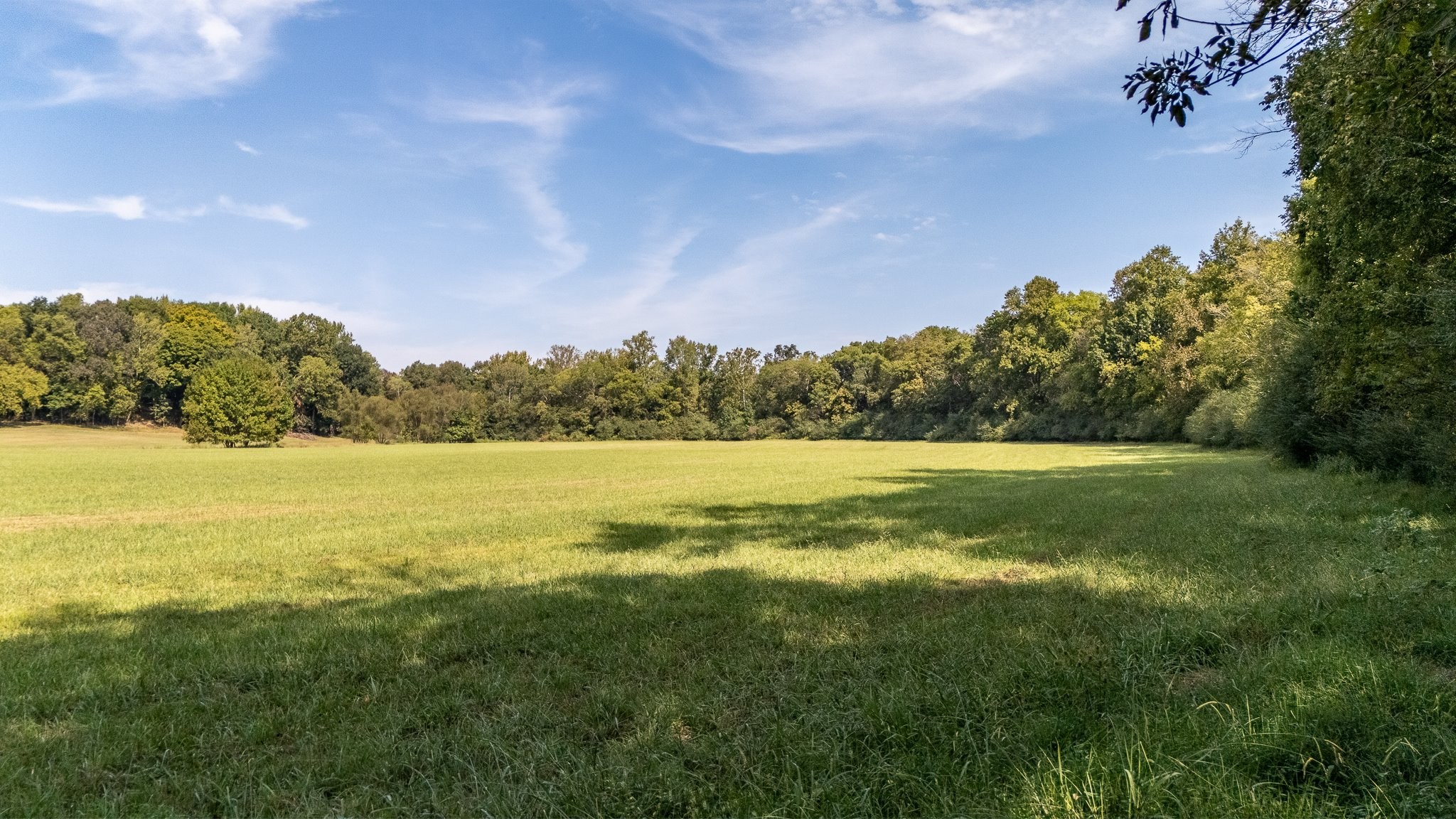 305 State Line Road St. Joseph, TN 38481 - Photo 19 of 98 Gallery Image 19