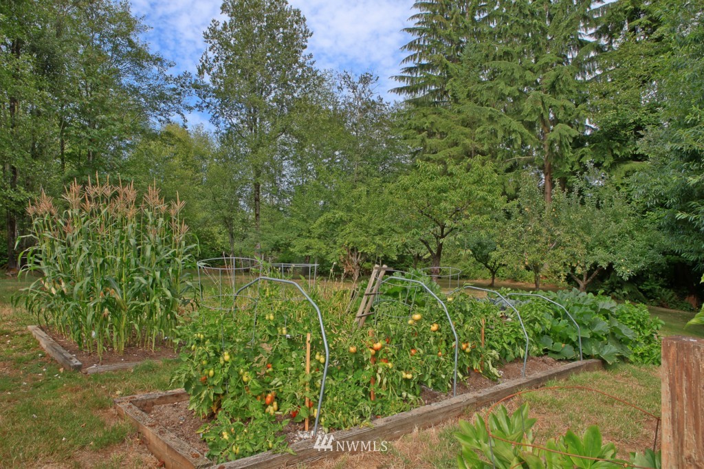 22505 61st Avenue Southeast Bothell, WA 98021 - Photo 15 of 17