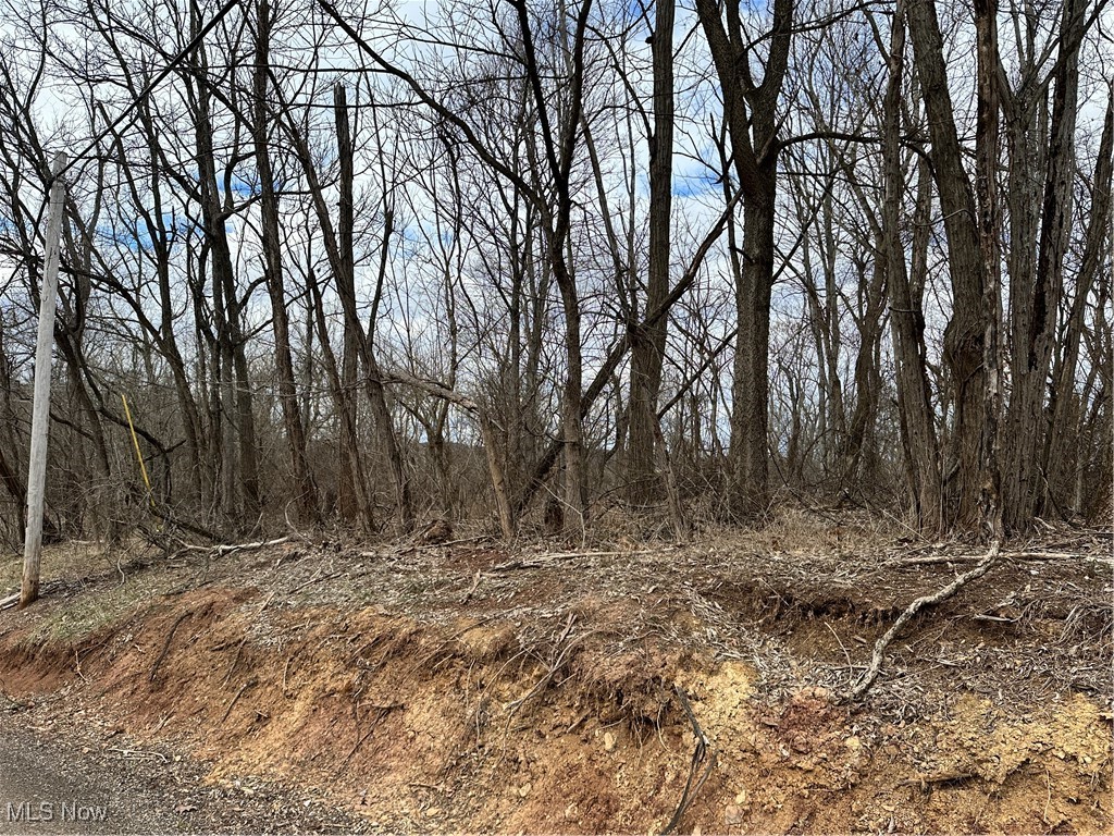 0 Fisher Ridge Road Fleming, OH 45729 - Photo 2 of 8 View of nature