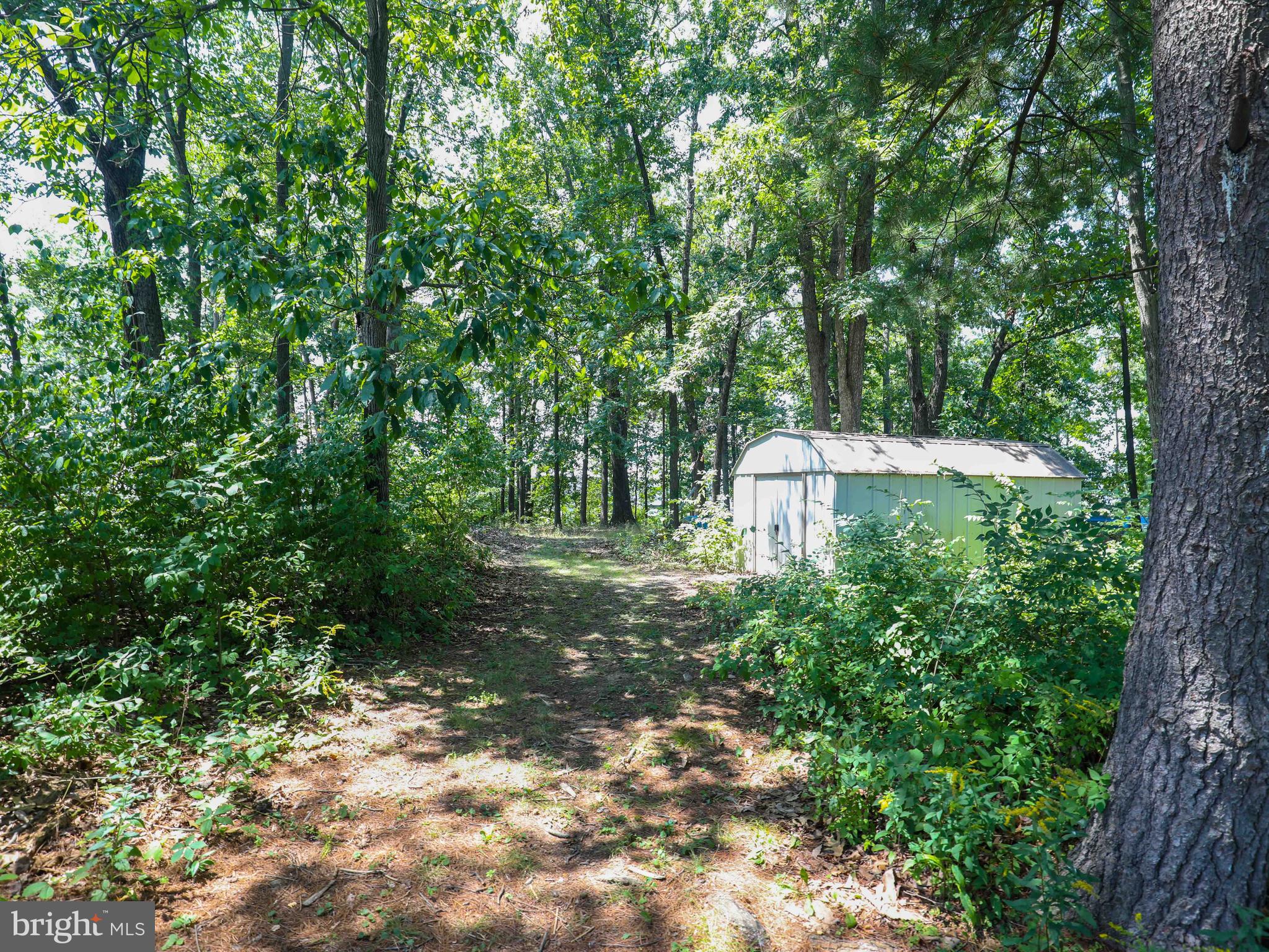 836 Jordan Springs Road Stephenson, VA 22656 - Photo 22 of 22 Wooded area behind house w/ add'l storage shed